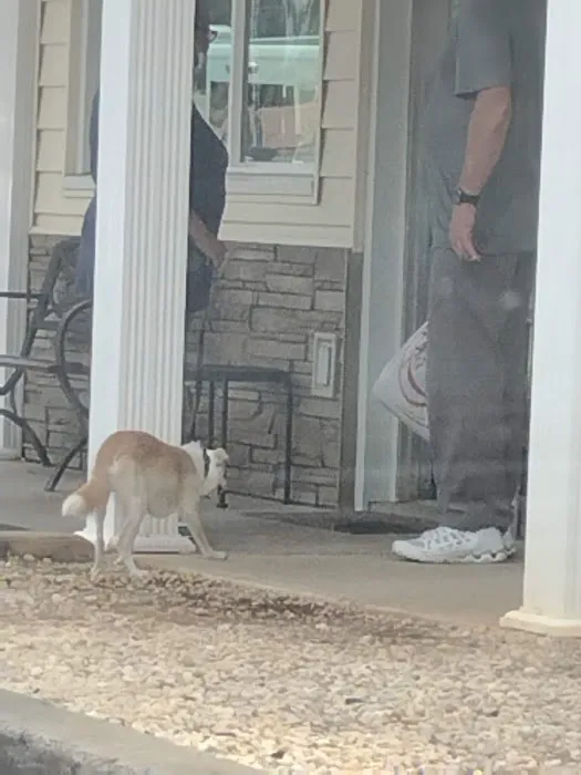North Augusta Animal Hospital 8