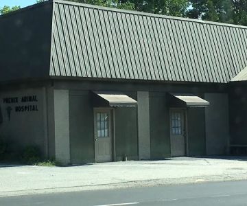 Phenix Animal Hospital: Mitchell A H DVM