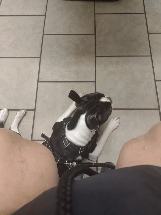 Phenix Animal Hospital: Mitchell A H DVM 8