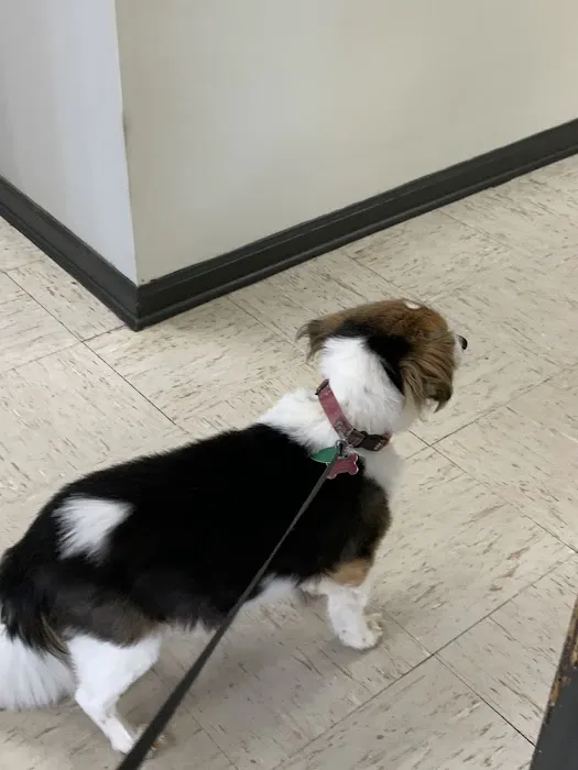 Caldwell Veterinary Clinic 1