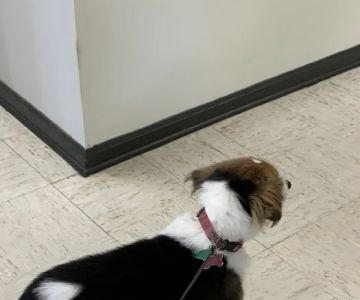 Caldwell Veterinary Clinic