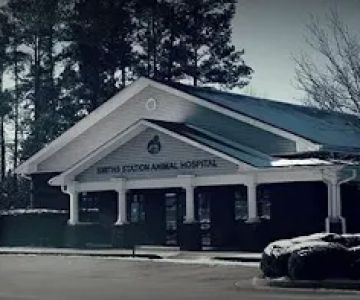 Smiths Station Animal Hospital: Dr. Steve Griffin