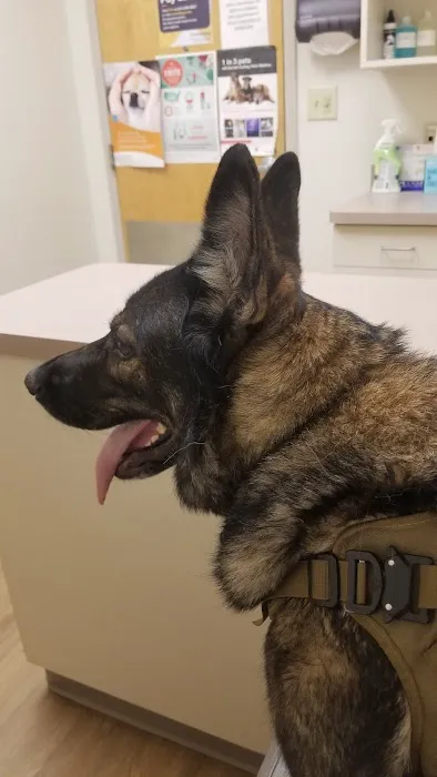 Smiths Station Animal Hospital 3