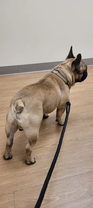 Smiths Station Animal Hospital 6