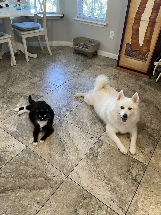 Green Cove Animal Hospital 10