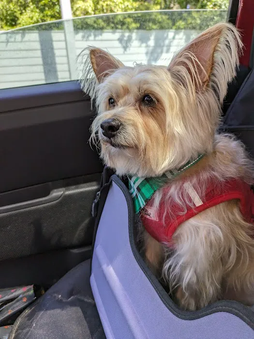 Green Cove Animal Hospital 8