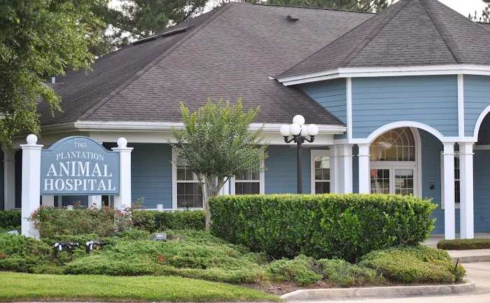 Plantation Animal Hospital 12