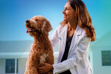 NewDay Veterinary Care