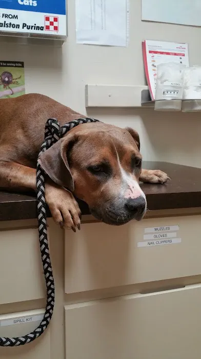 Crescent City Animal Health Center 5