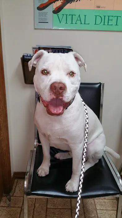 Crescent City Animal Health Center 2