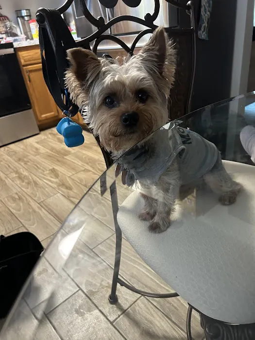 Kings Trail Animal Hospital 12