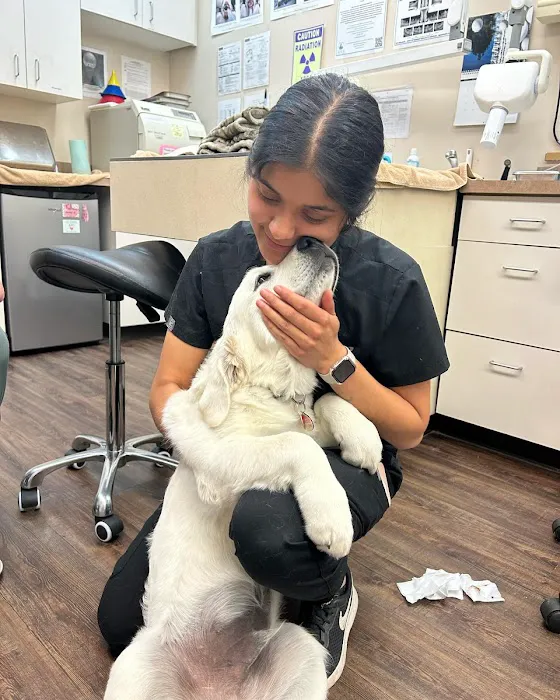 Kings Trail Animal Hospital 12