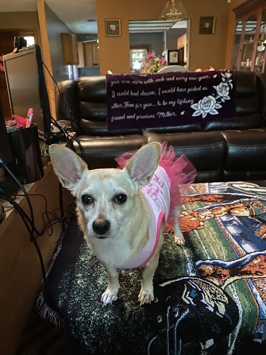 Kings Trail Animal Hospital 12