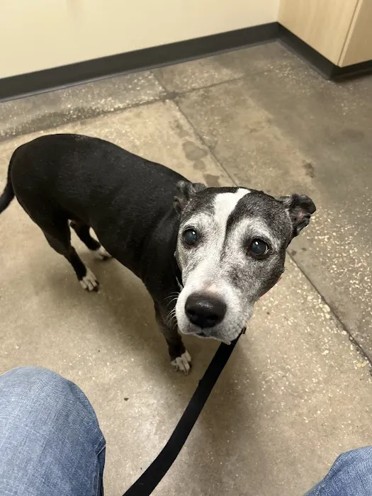 Vetco Total Care Animal Hospital 12