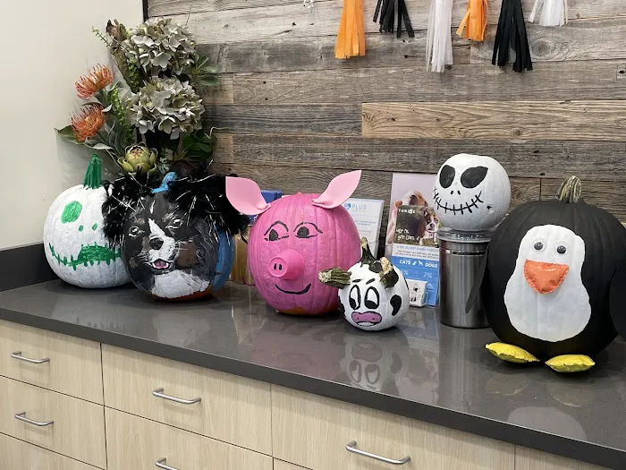 Vetco Total Care Animal Hospital 12