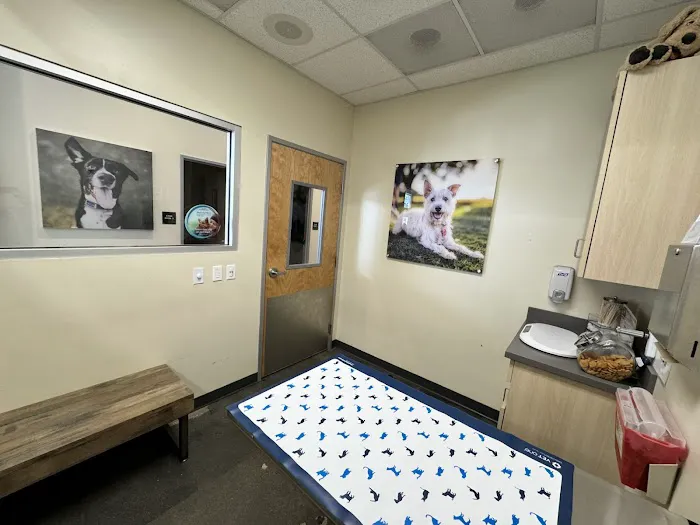 Vetco Total Care Animal Hospital 12