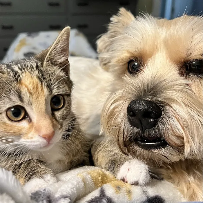 Vetco Total Care Animal Hospital 12