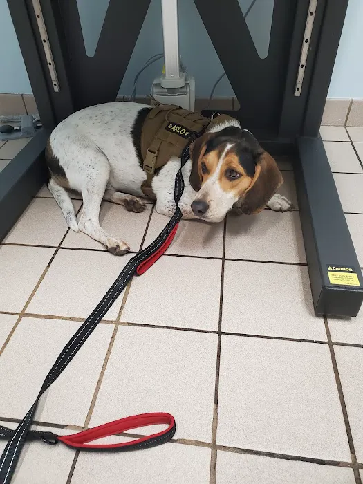 Fleming Island Pet Clinic: Antar Randa DVM 12