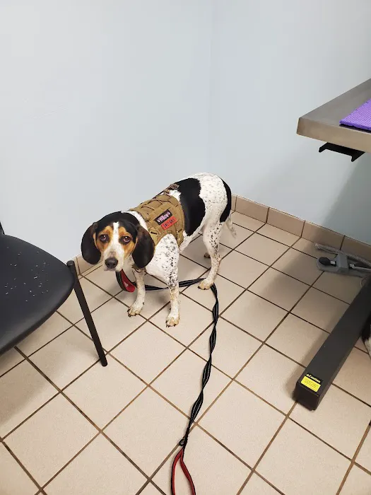 Fleming Island Pet Clinic: Antar Randa DVM 12