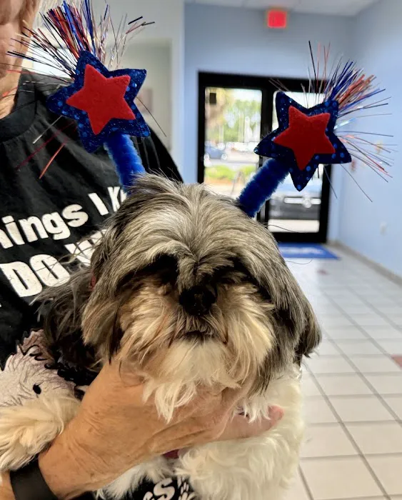 VCA Fleming Island Animal Hospital 12