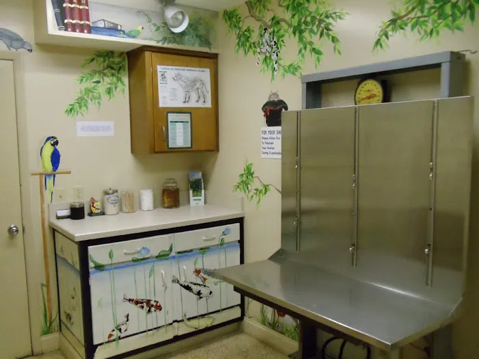 Kingsley Animal Hospital 8