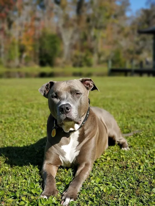 Willowdale Veterinary Center 9