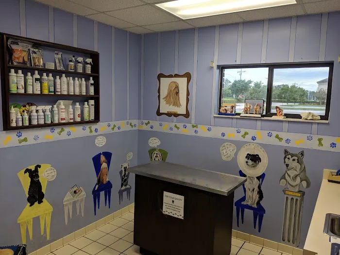 Willowdale Veterinary Center 4