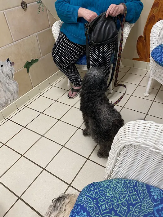 Willowdale Veterinary Center 2