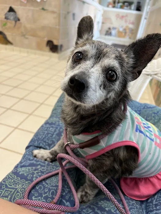 Willowdale Veterinary Center 5