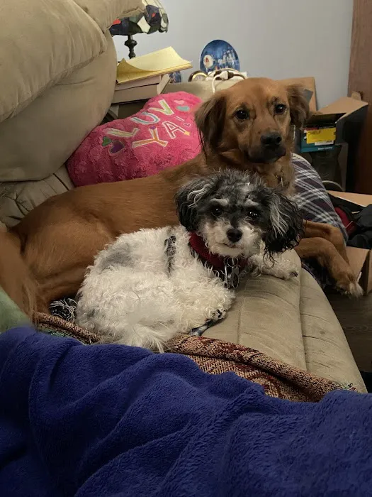 Banfield Pet Hospital 7