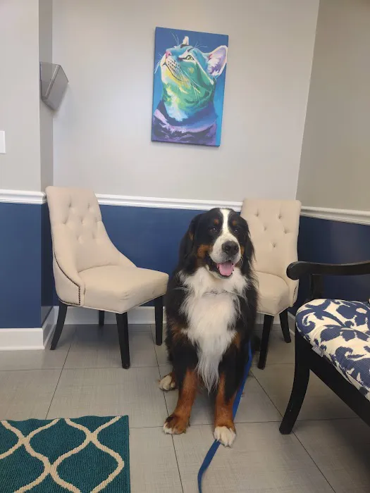 BluePearl Pet Neurology 9