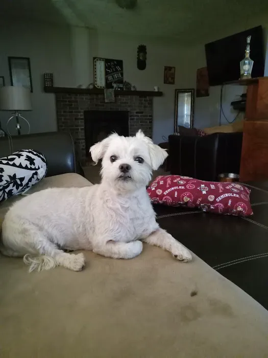 Banfield Pet Hospital 12