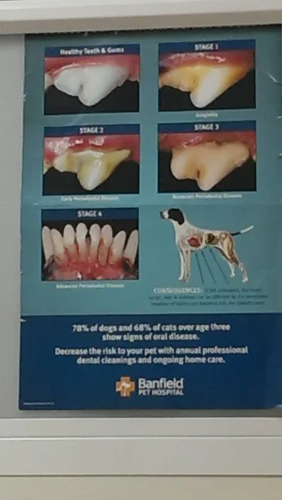 Banfield Pet Hospital 12