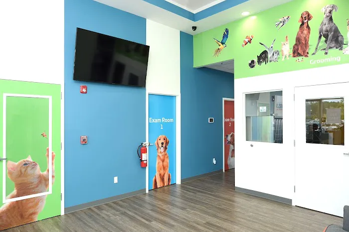 Pet Angels Animal Hospital 12