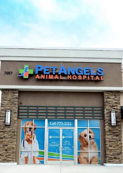Pet Angels Animal Hospital 12