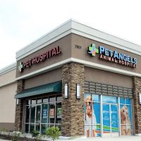 Pet Angels Animal Hospital ico