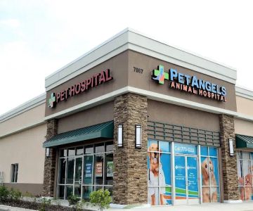 Pet Angels Animal Hospital