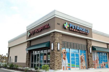 Pet Angels Animal Hospital