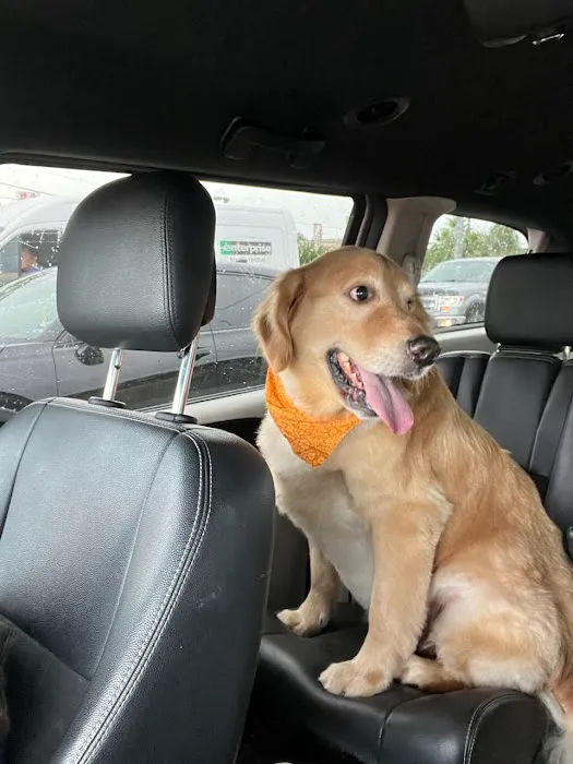 Beltway Animal Hospital 12