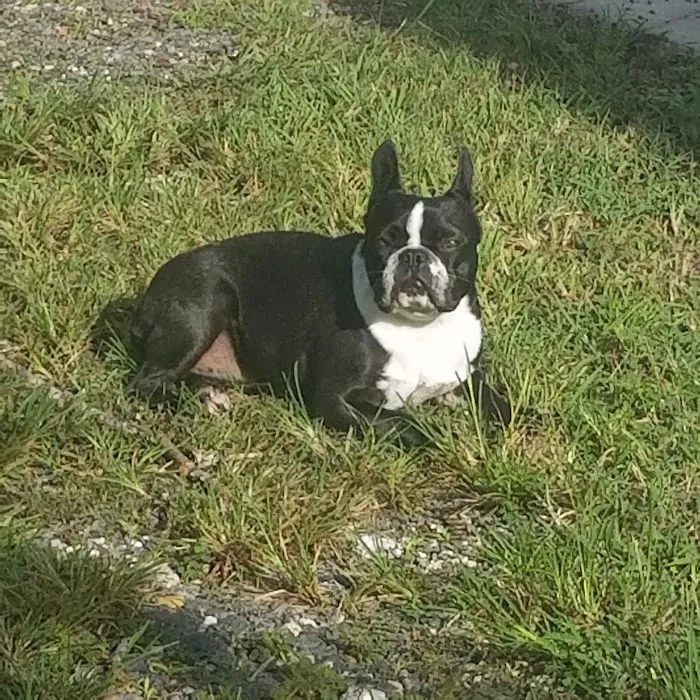 Beltway Animal Hospital 12