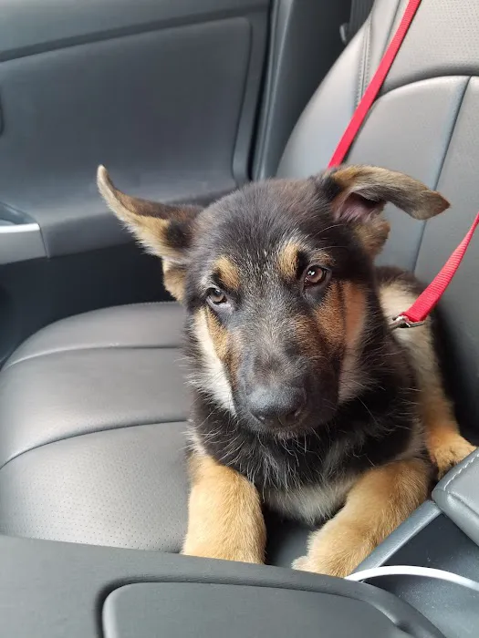 Beltway Animal Hospital 12