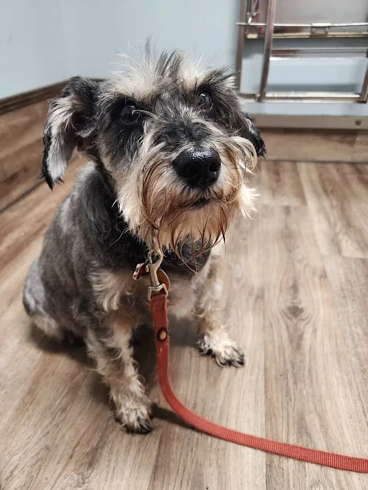 Beltway Animal Hospital 12