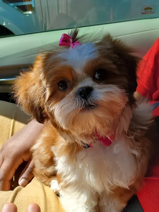 Beltway Animal Hospital 12