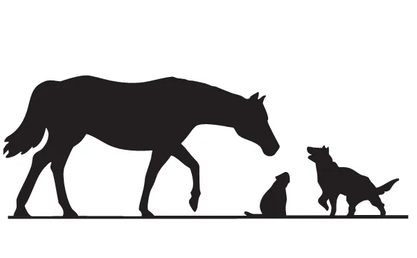 The Pet Shop at St Johns: Debbie Tripp Hope Mast 12