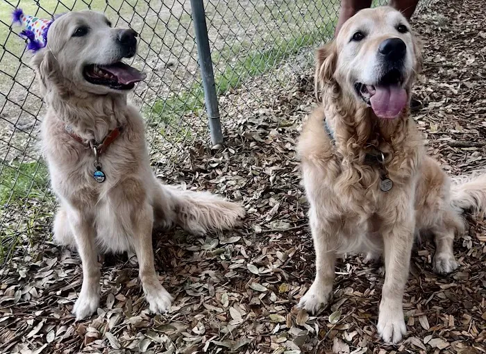 St. Johns Veterinary Hospital 4
