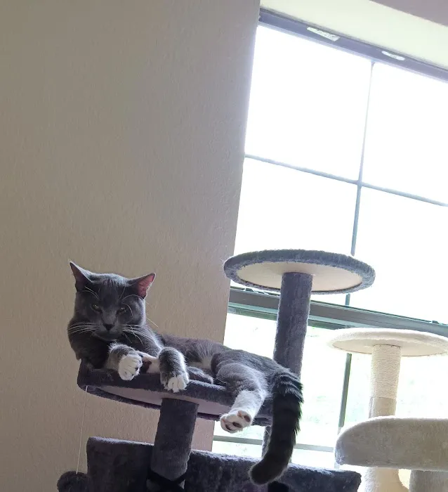St. Johns Veterinary Hospital 3