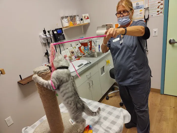 Del Mar Veterinary Hospital 4