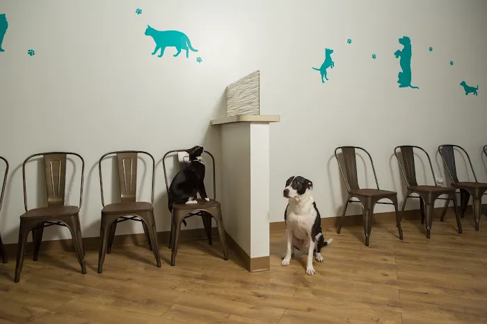 Del Mar Veterinary Hospital 7