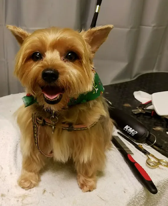 Del Mar Veterinary Hospital 9