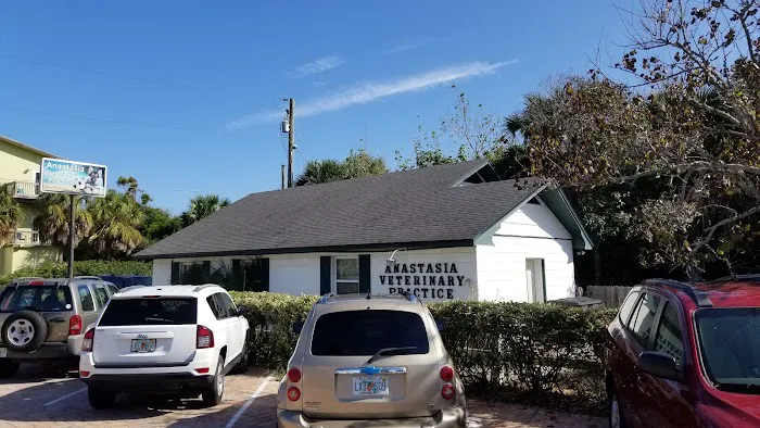 Anastasia Veterinary Practice 7